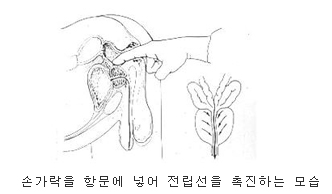이미지명